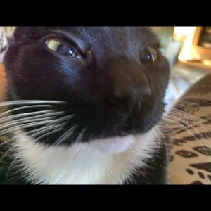 Meet your Posher, Destyni